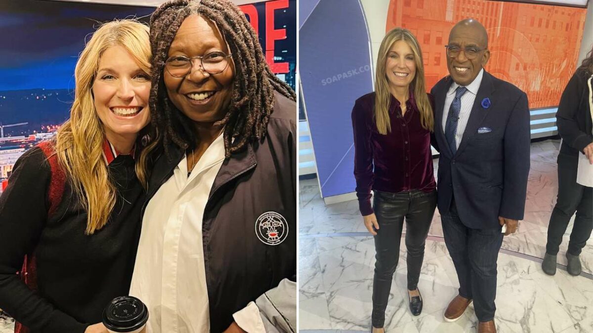 Nicole Wallace's brief absence from MSNBC: A glimpse of her fortitude