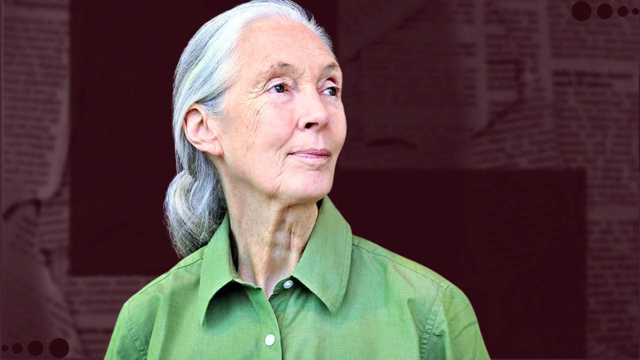 Learn about Jane Goodall, a Remarkable Life Studying and Protecting Chimpanzees at 89.