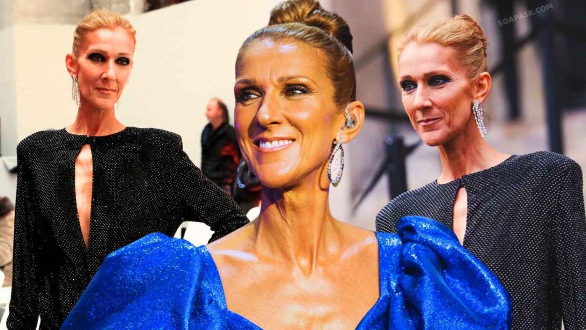 How is Celine Dion doing? Where is she in 2024? SoapAsk
